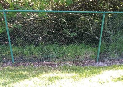 Chain Link Fencing with forest behind
